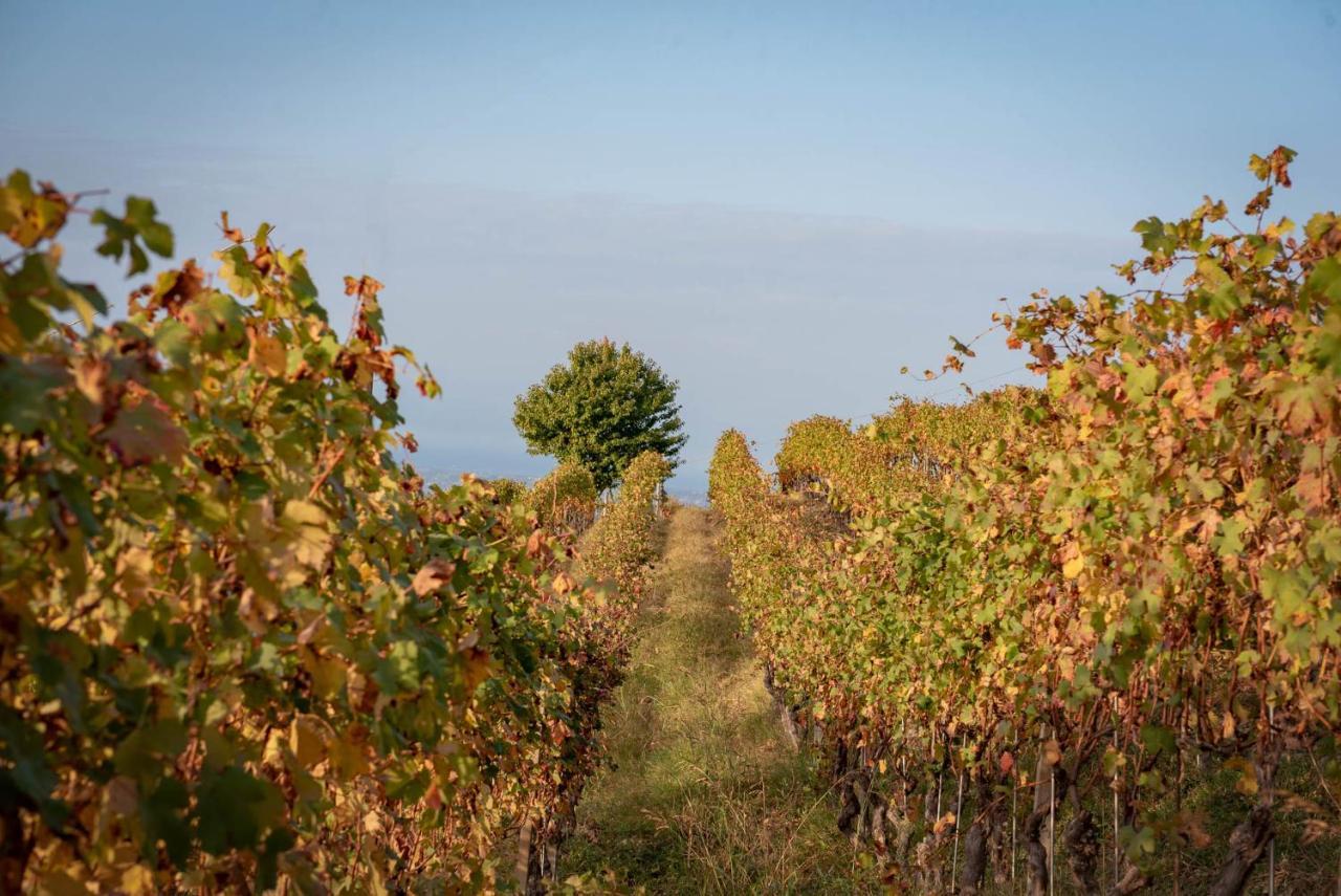 Agriturismo San Martino Clavesana Εξωτερικό φωτογραφία